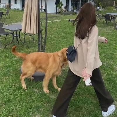 蔷薇少女第二季 梦之终结